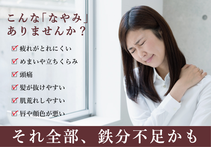 ミタニホールディングス ミタニHD アイアンパン たべサプリ 乳酸菌鉄 鉄分 ハート形サプリパン 貧血