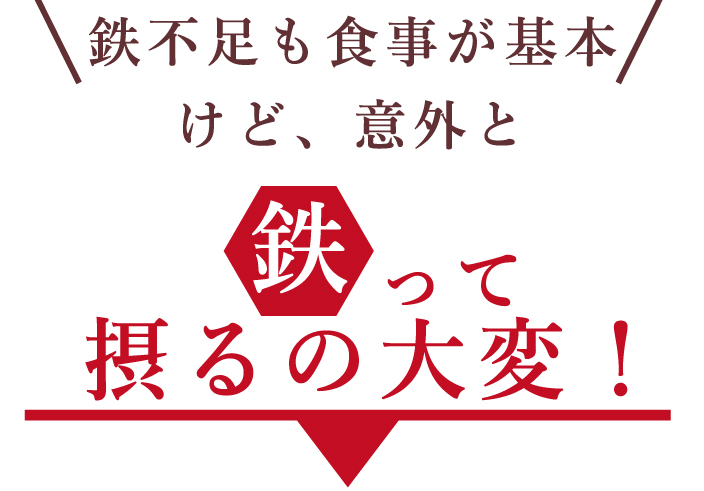 ミタニホールディングス ミタニHD アイアンパン たべサプリ 乳酸菌鉄 鉄分 ハート形サプリパン 貧血