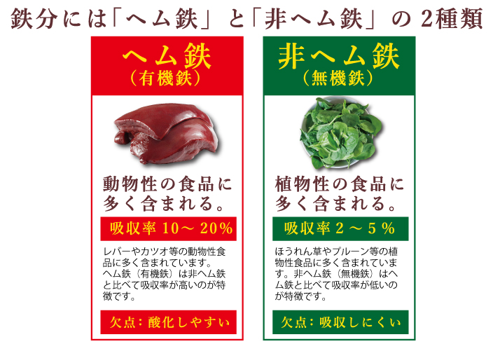 ミタニホールディングス ミタニHD アイアンパン たべサプリ 乳酸菌鉄 鉄分 ハート形サプリパン 貧血