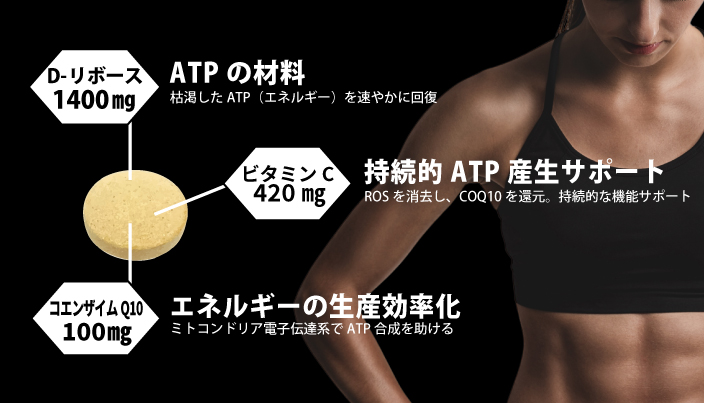 ミタニホールディングス　ミタニHD　MEDI-EG　メディエナジー　医療機関向けサプリメント　D-リボース　コエンザイムQ10　CoQ10 ビタミンC　ATP　ミトコンドリア　疲労　廃用症候群　フレイル　アスリート向けサプリメント